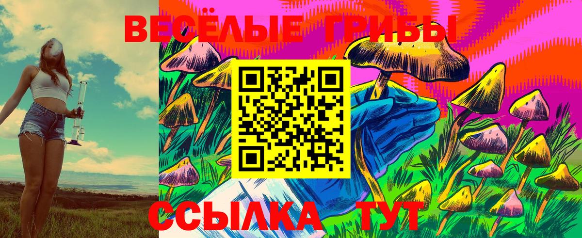 Галлюциногенные грибы GOLDEN TEACHER Губкин