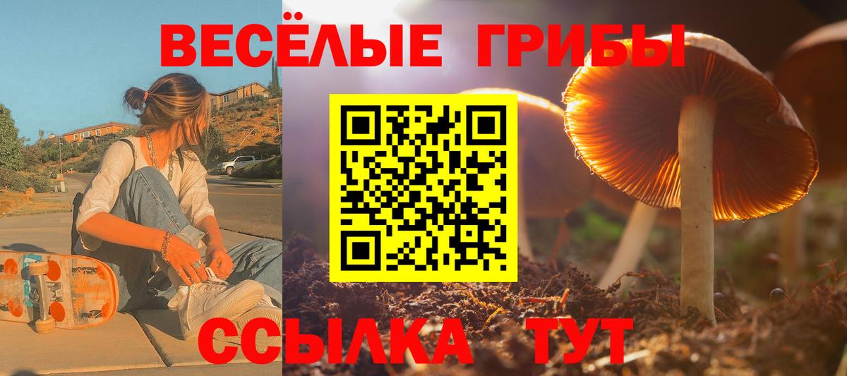 Псилоцибиновые грибы прущие грибы  Псилоцибиновые грибы MAGIC MUSHROOMS  Вход с VPN  Губкин 
